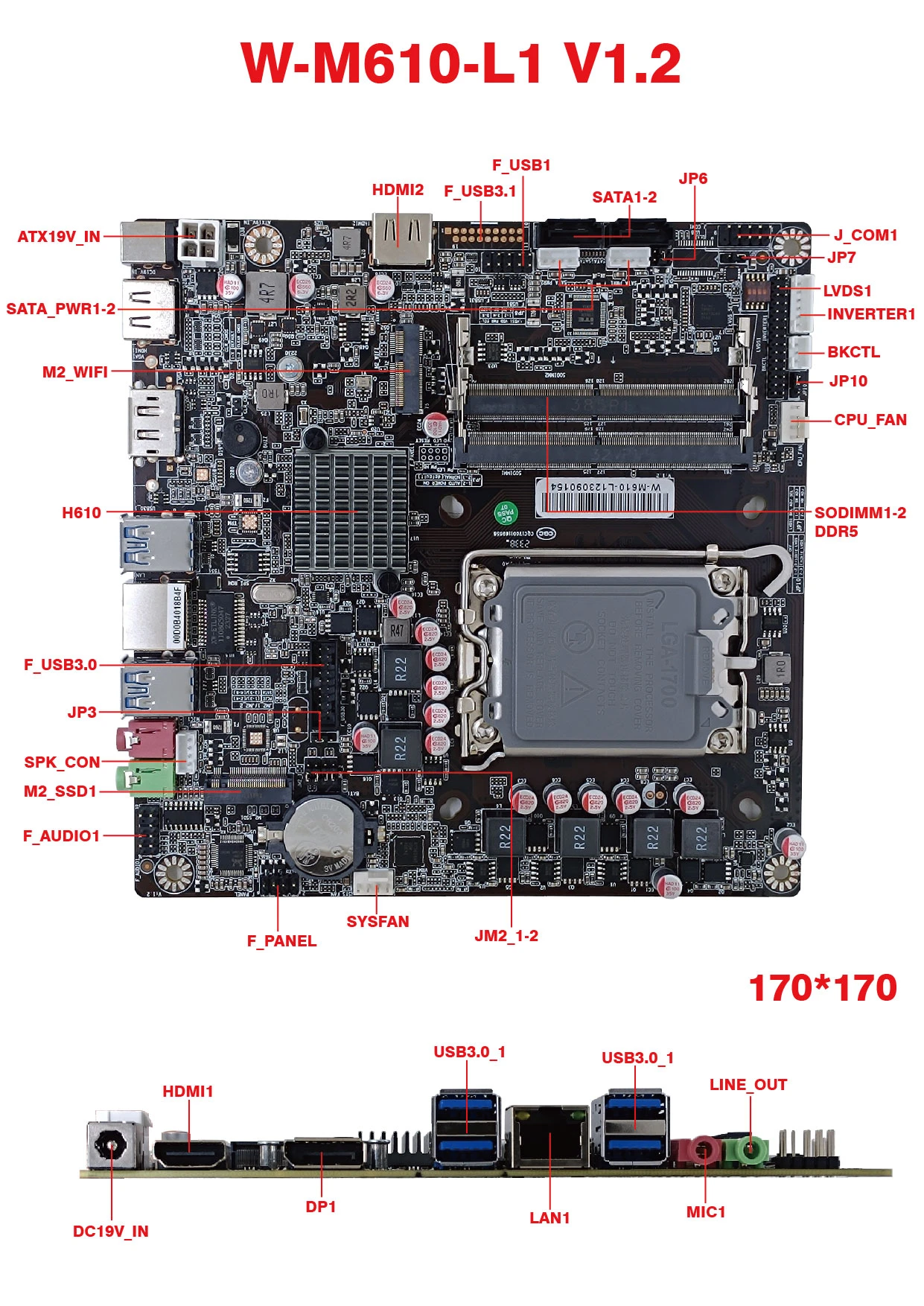 product-1241-1754